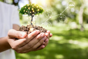 Mehr über den Artikel erfahren Summer School Post-Carbon Futures. Cities, Industries and Energies in Central Europe
